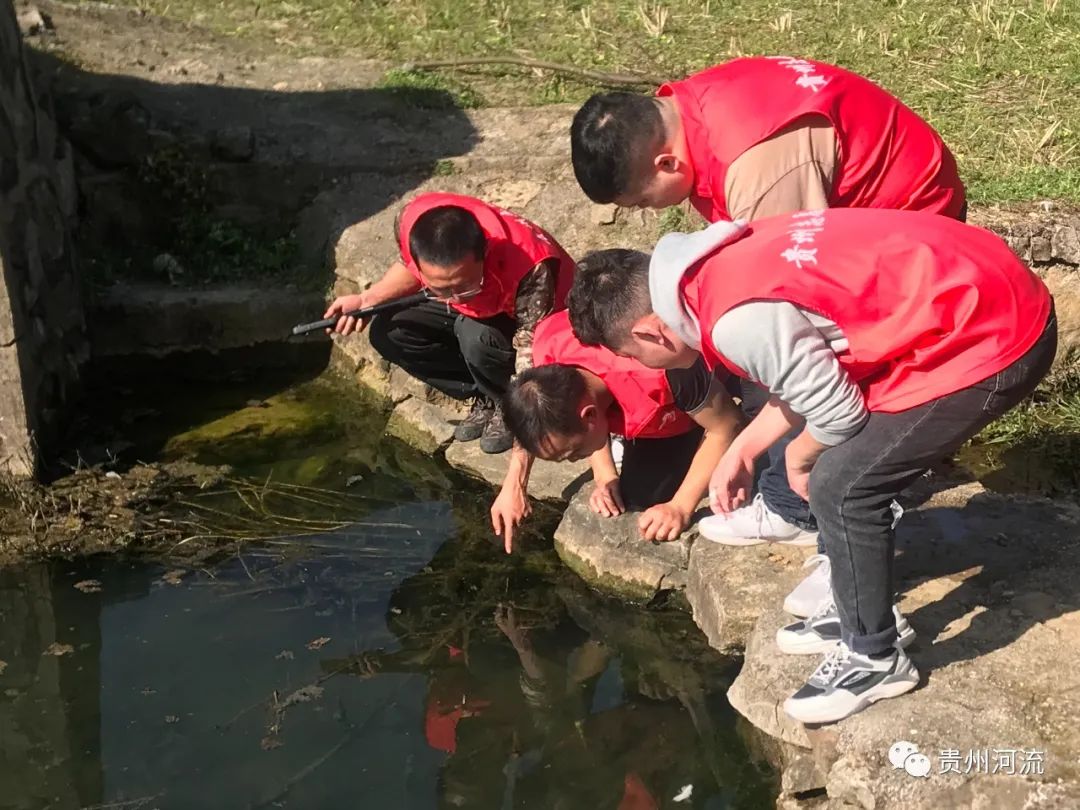 回顾 | 全民参与，共建幸福河——黔仁生态与贞丰县联合开展紫色河巡护志愿服务活动